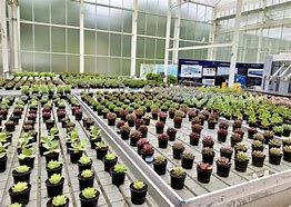 花匠客户端中国花木网手机版下载