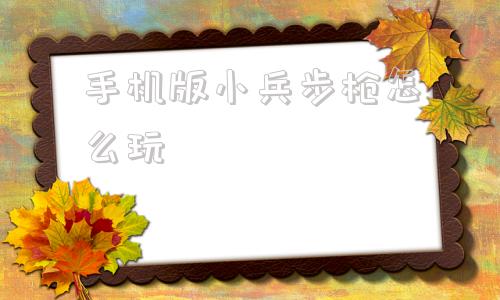 手机版小兵步枪怎么玩小兵步枪中文版免费下载安装