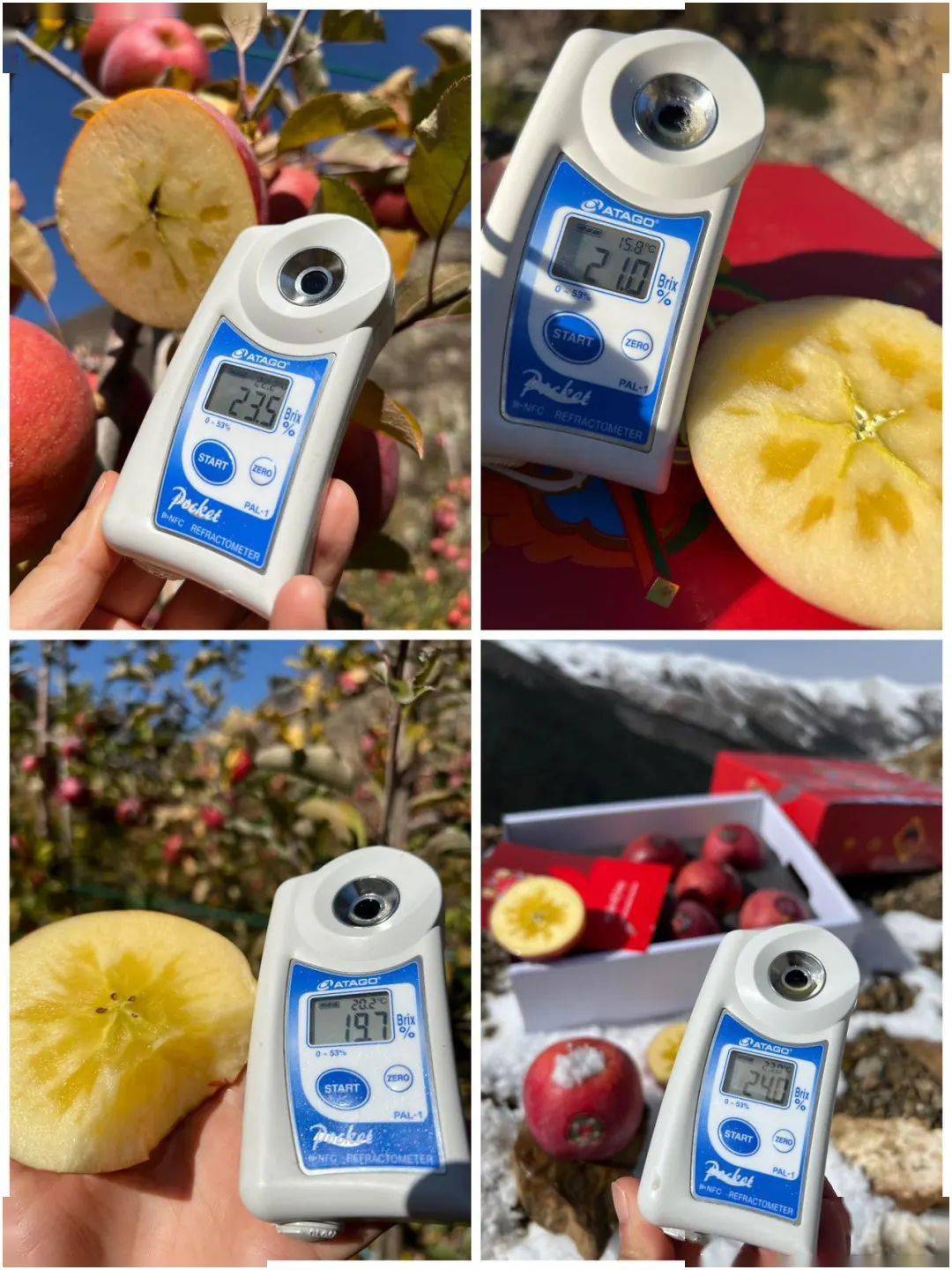 雪域世界苹果版苹果ios手游模拟器电脑版