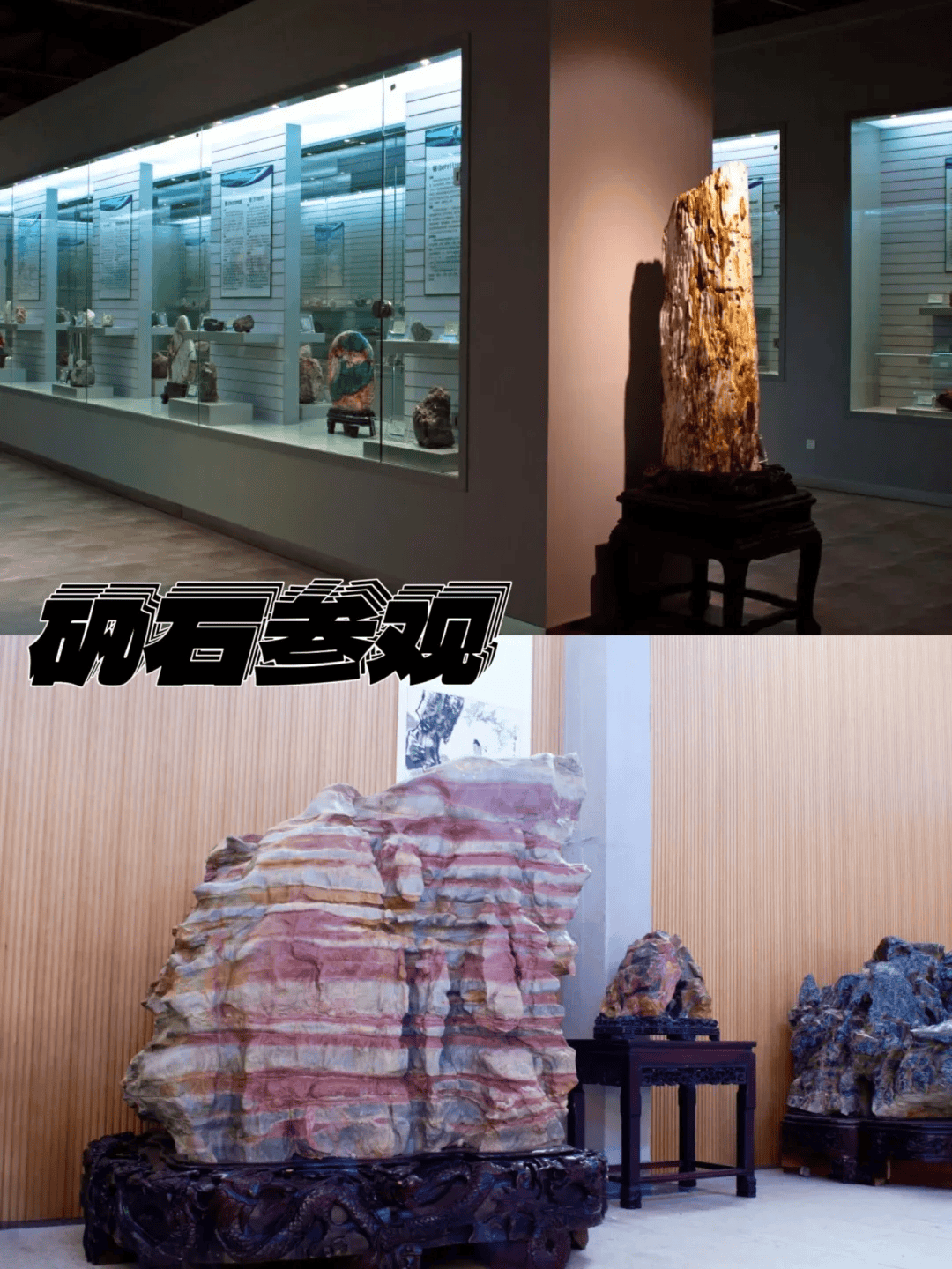 小小矿工手机版安卓轻松矿工手机app下载