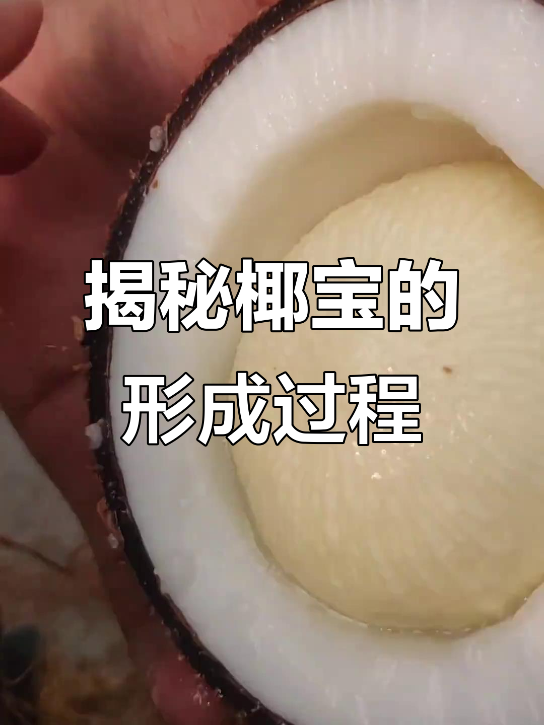 椰子宝苹果版椰子水公司赴港ipo