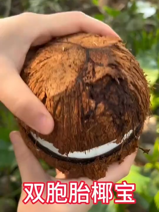 椰子宝苹果版椰子水公司赴港ipo-第2张图片-太平洋在线下载